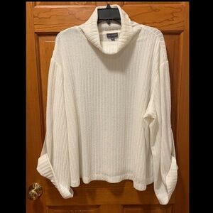 ⭐️Women’s The Limited Sweater Size 1X